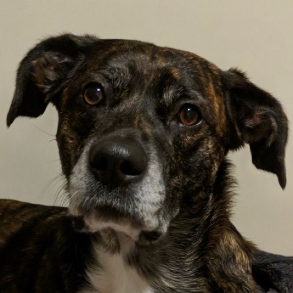 Meet your Posher, Kaylyn - Picture 1 of 1